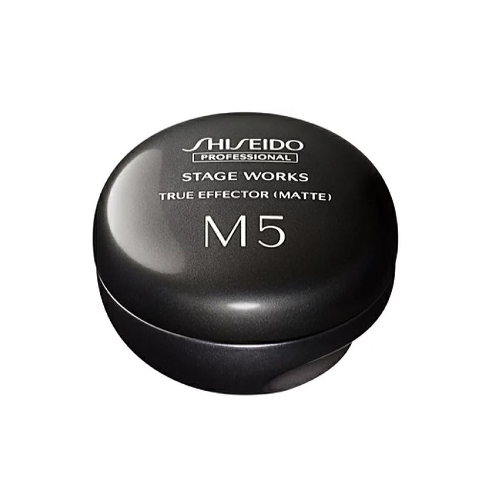 Shiseido Professional Stage Works True Effector Matte 80g