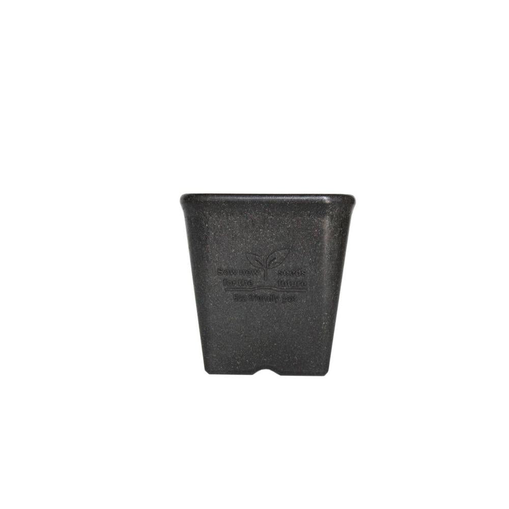 welzo Momikku Square Pot Black 12