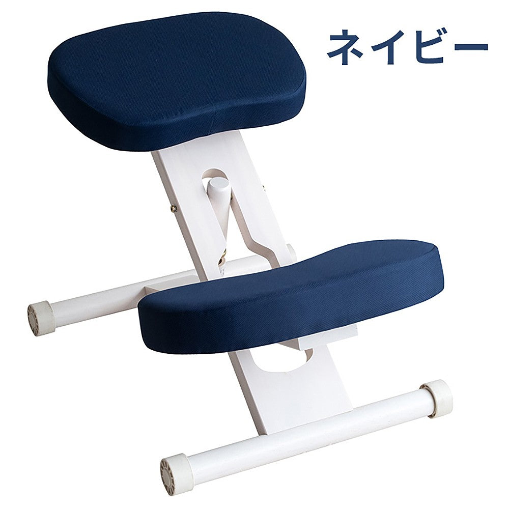 Proportion Chair CH-N88W White Navy