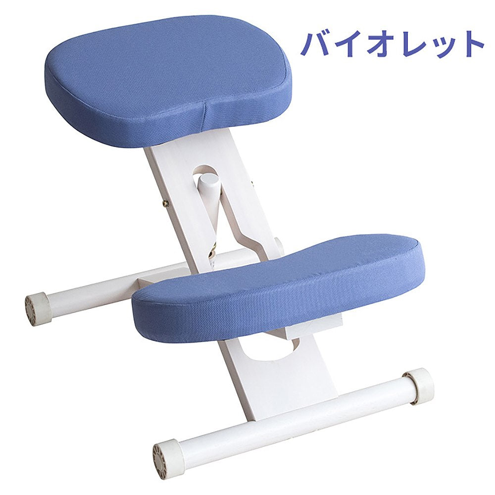 Proportion Chair CH-N88W White Violet