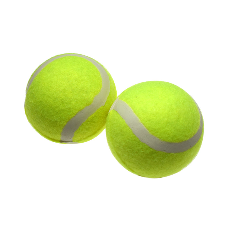 Tennis Balls (2 Pack)