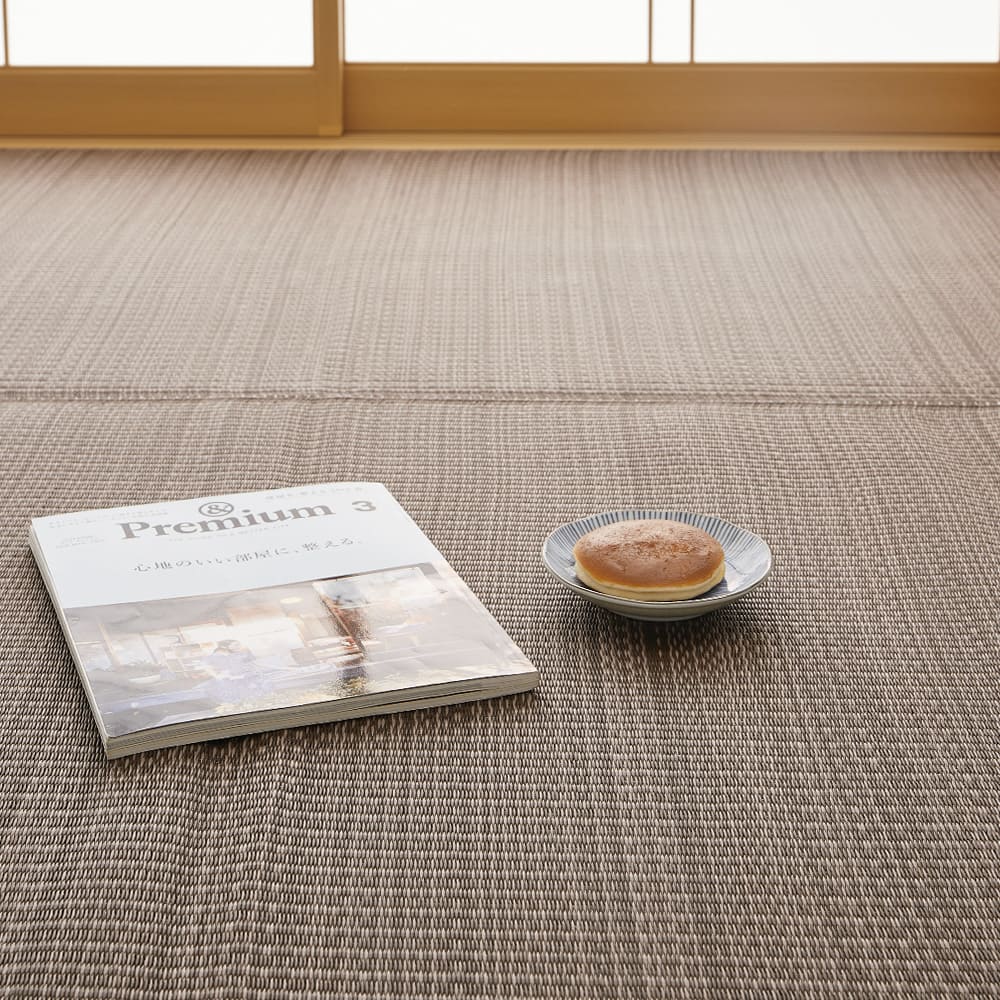 Washable Igusa-style Carpet Ryan, Edo 6-Tatami, Brown