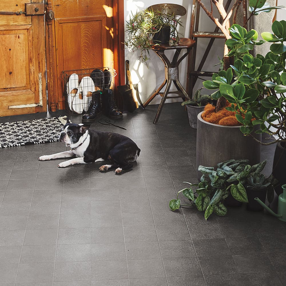 Pet-Friendly Cushion Floor Cray Block 90x250