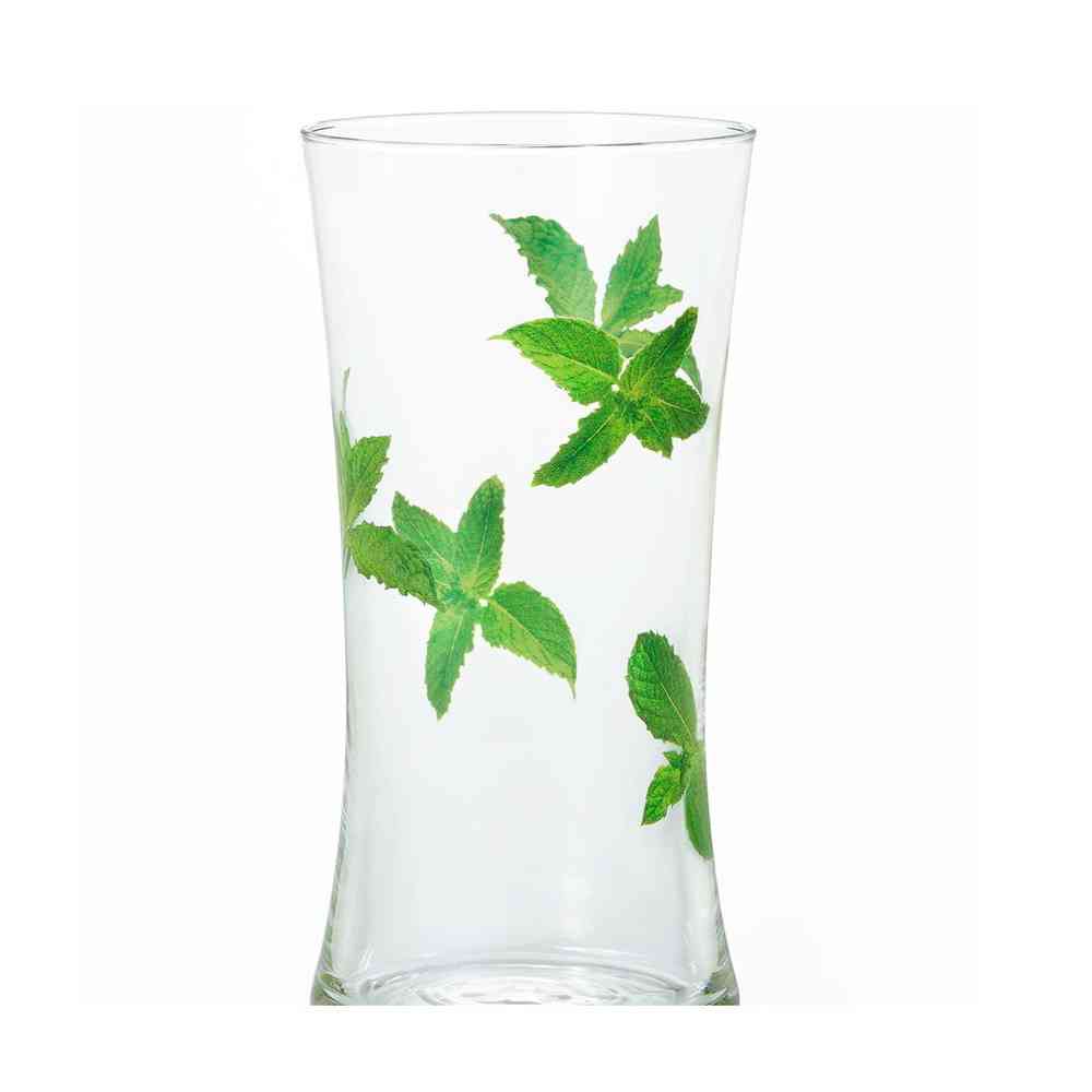 Adelia Imitation Glass Mint Tumbler 1 Piece