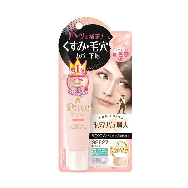 Tokiwa Pharmaceutical Pore Pate Artisan Smooth Color Base 01 22g
