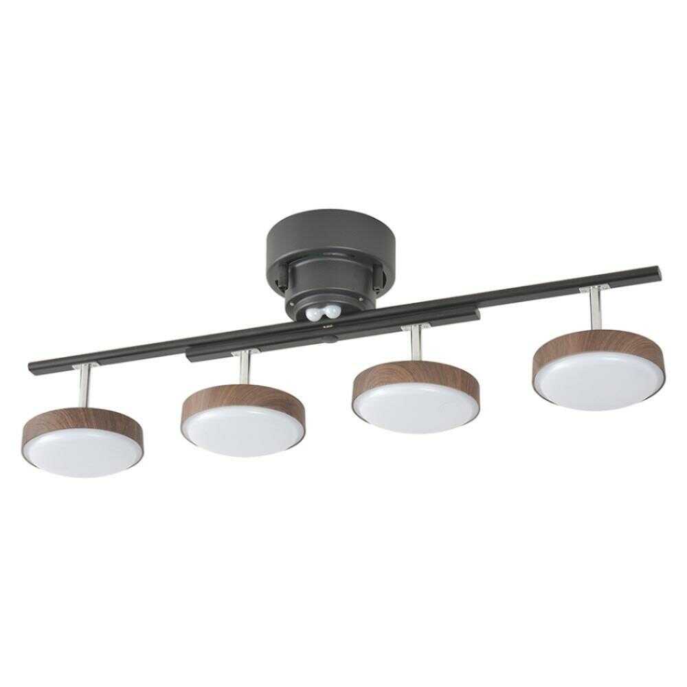 Ohm Electric LED 4-Bulb Ceiling Light