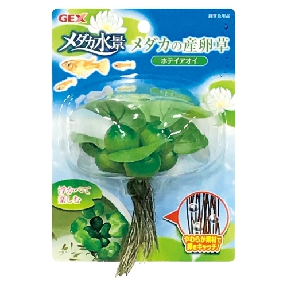 GEX Medaka Spawning Plant Water Hyacinth