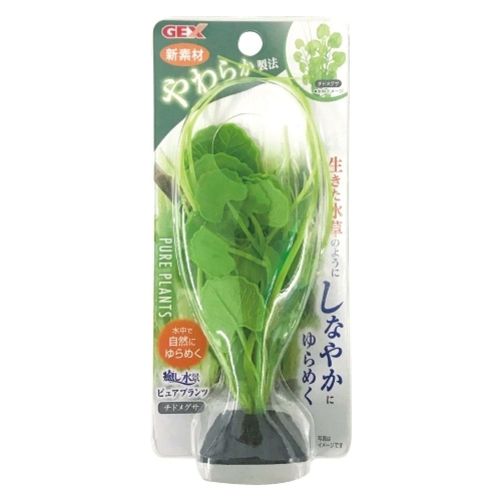 GEX Healing Aquascape Pure Plants Chidomegusa