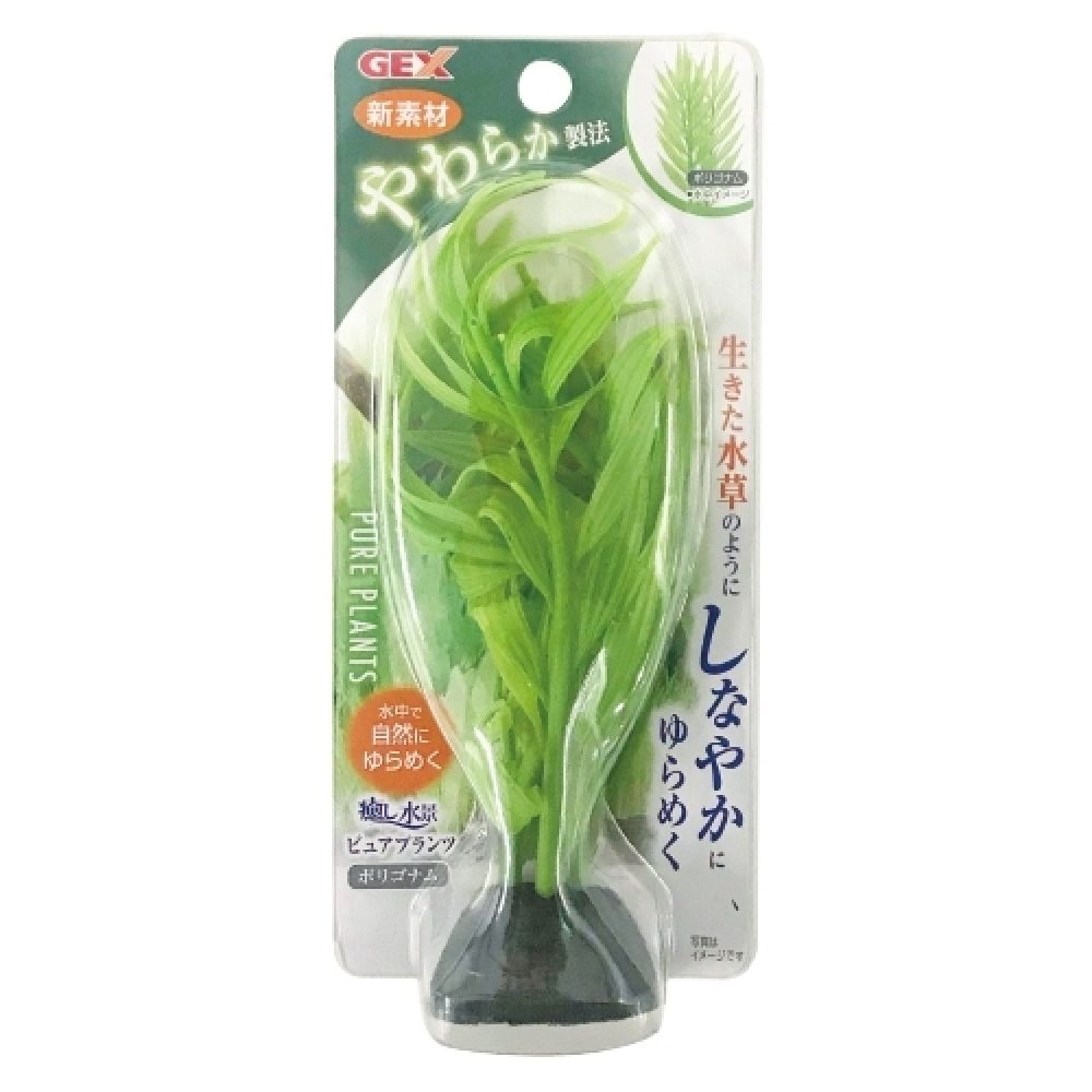 GEX Healing Aquascape Pure Plants Polygonum