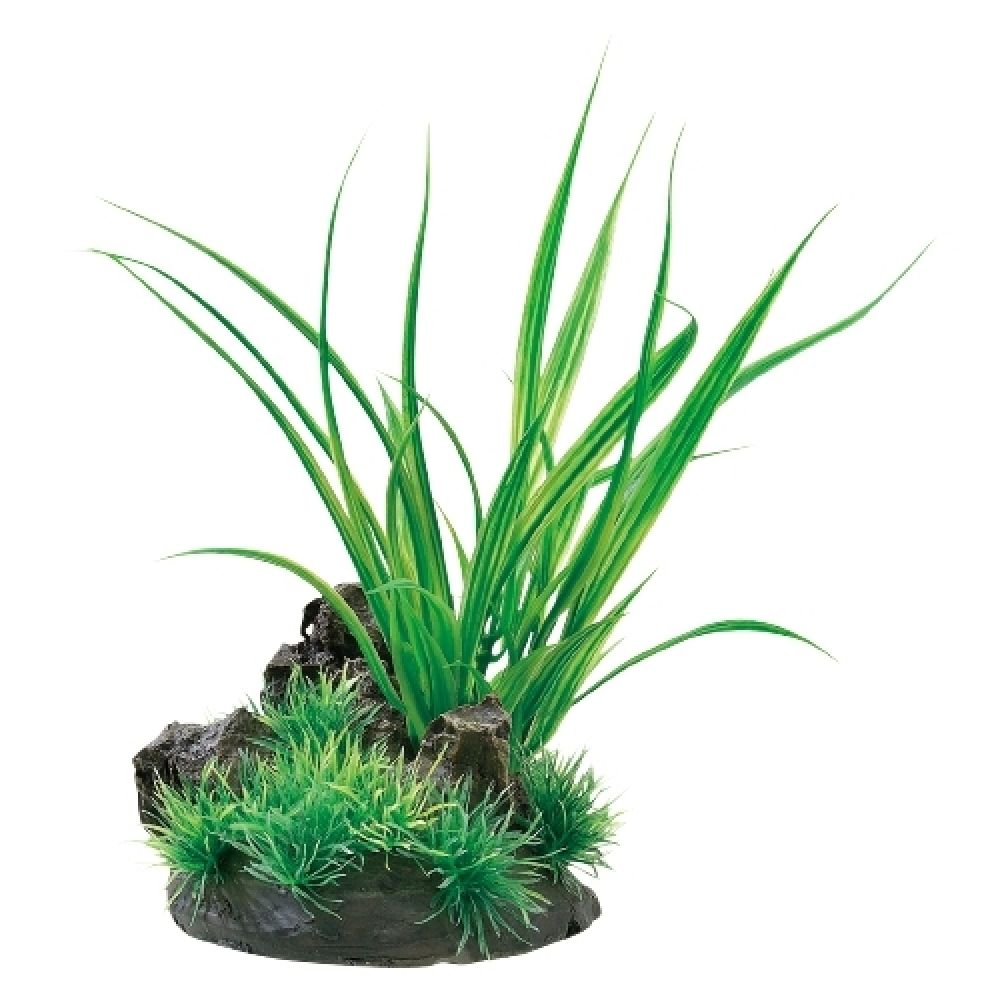 GEX Healing Aquascape Aqua Canvas Cyperus