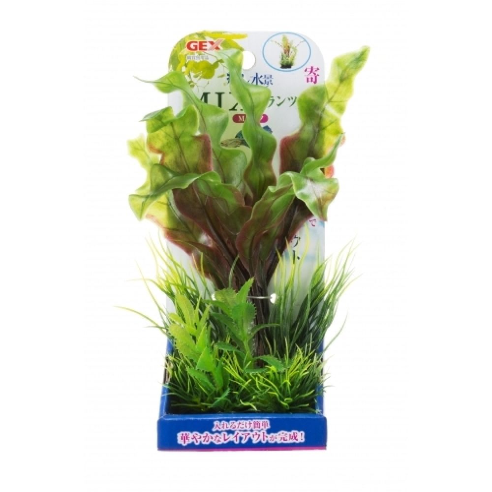 JEX Healing Water Landscape MIX Plants Aponogeton M