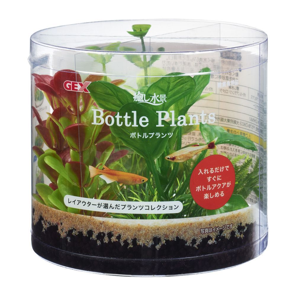 GEX Healing Water Scene Bottle Plants Anubias
