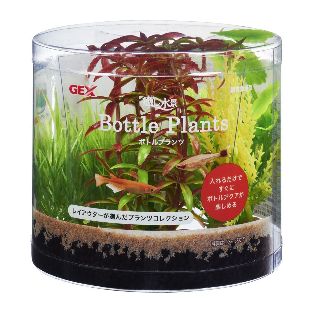JEX Healing Aquascape Bottle Plants Rotala