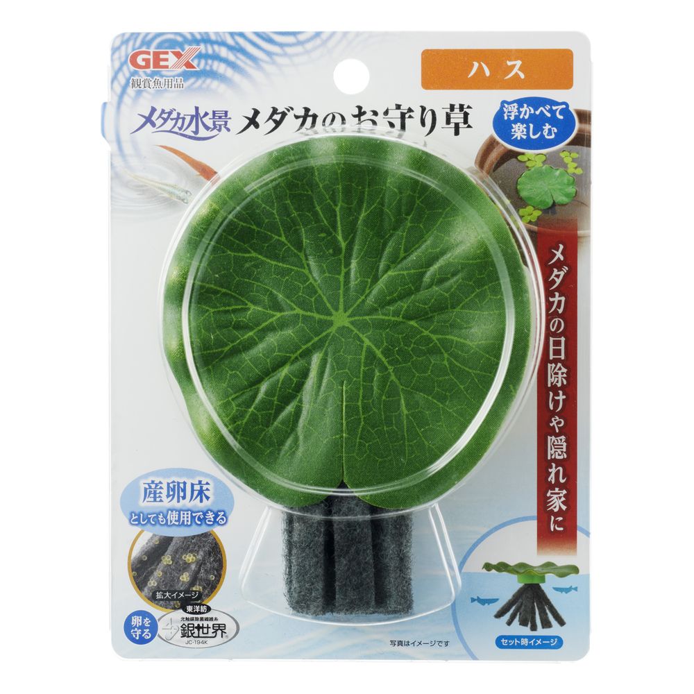 JEX Medaka Water Landscape Medaka's Amulet Plant Lotus