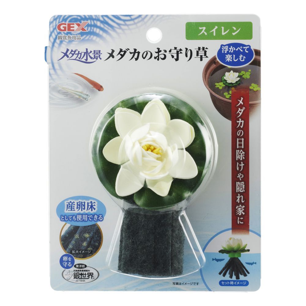 Jex Medaka Water Landscape Medaka Amulet Plant Water Lily