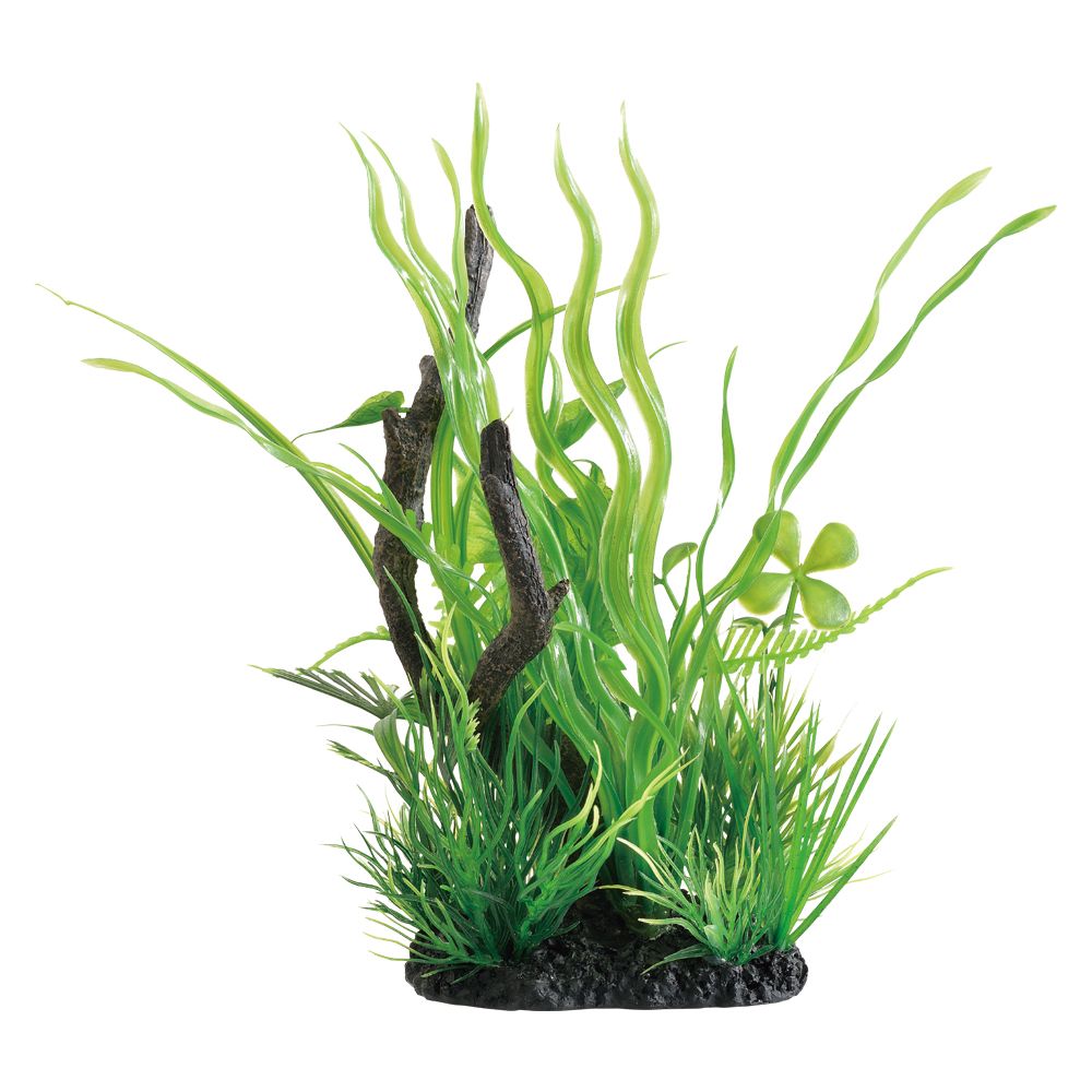 JEX Healing Water Landscape MIX Vallisneria