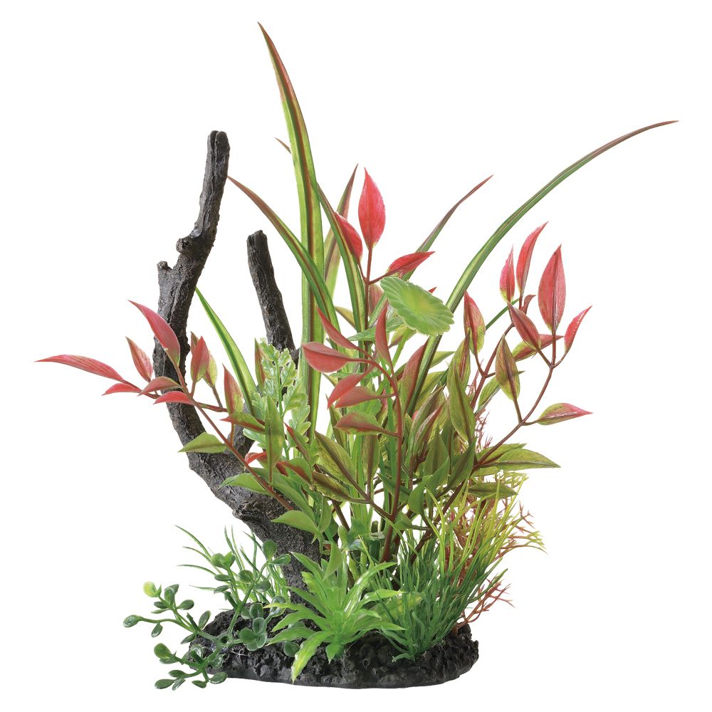 GEX Healing Water Landscape MIX Ludwigia