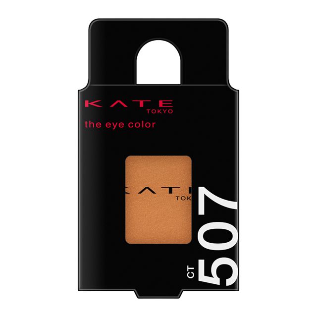 Kanebo KATE The Eye Color CT507 Cinnamon