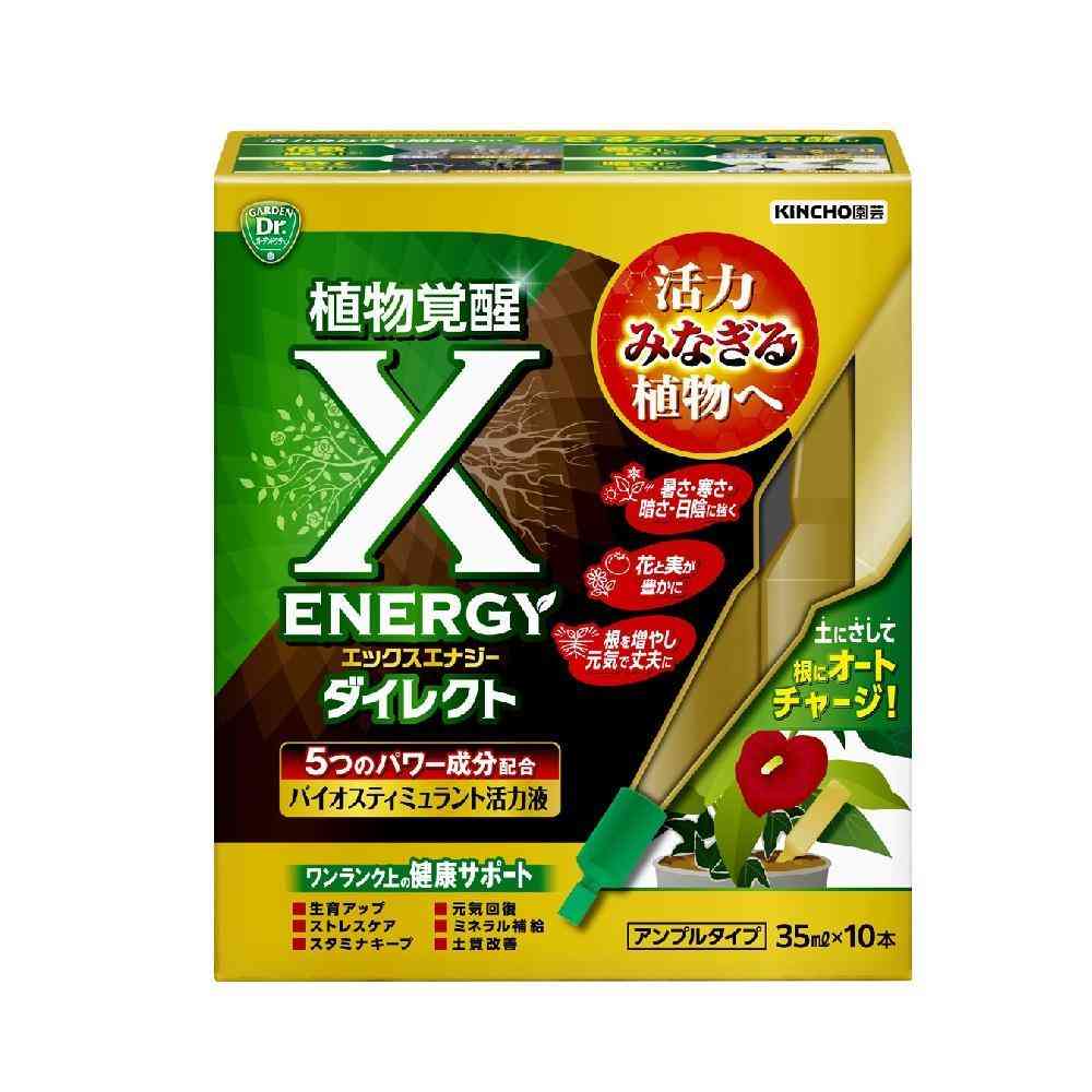 KINCHO X-ENERGY Direct Ampoule Type 35ml x 10