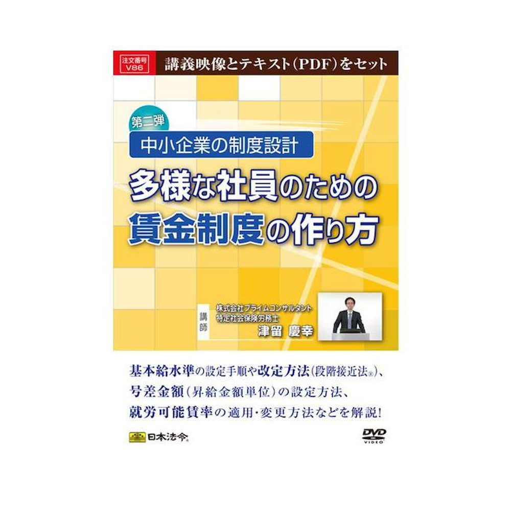 DVD System Design for Small Businesses V86
