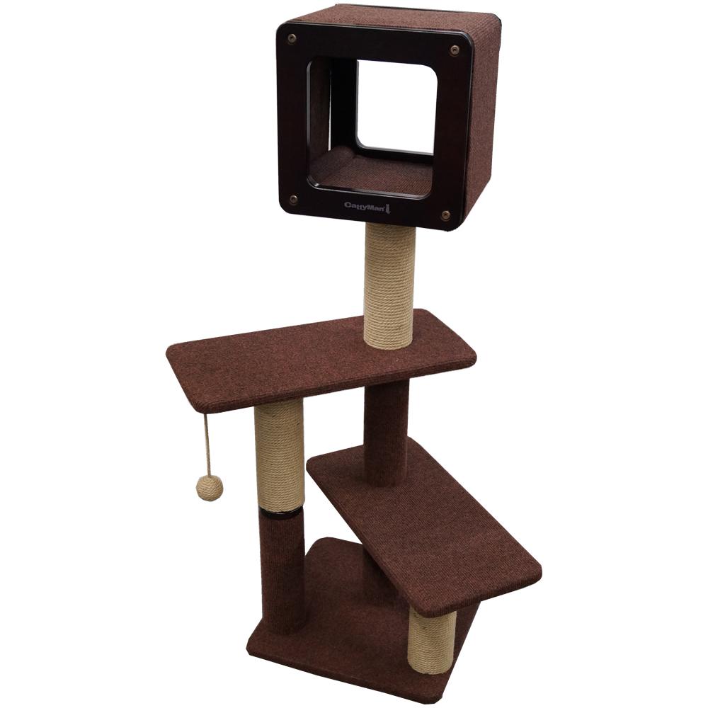 Modern Room Scratch Large H120