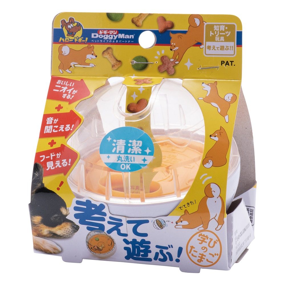 Think and Play! Learning Egg