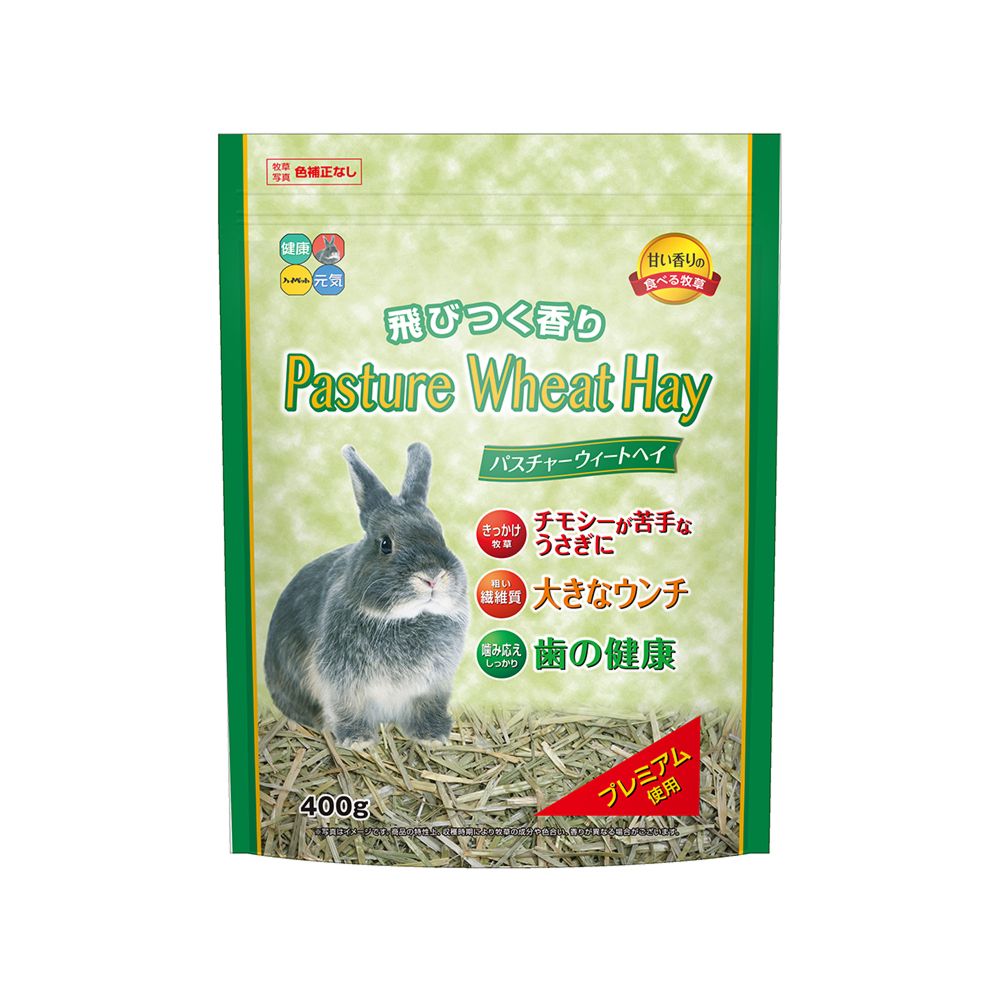 Hi-Pet Pasture Wheat Hay 400g