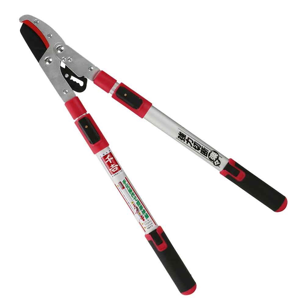 Telescopic Ratchet Pruning Shears SGFL-10