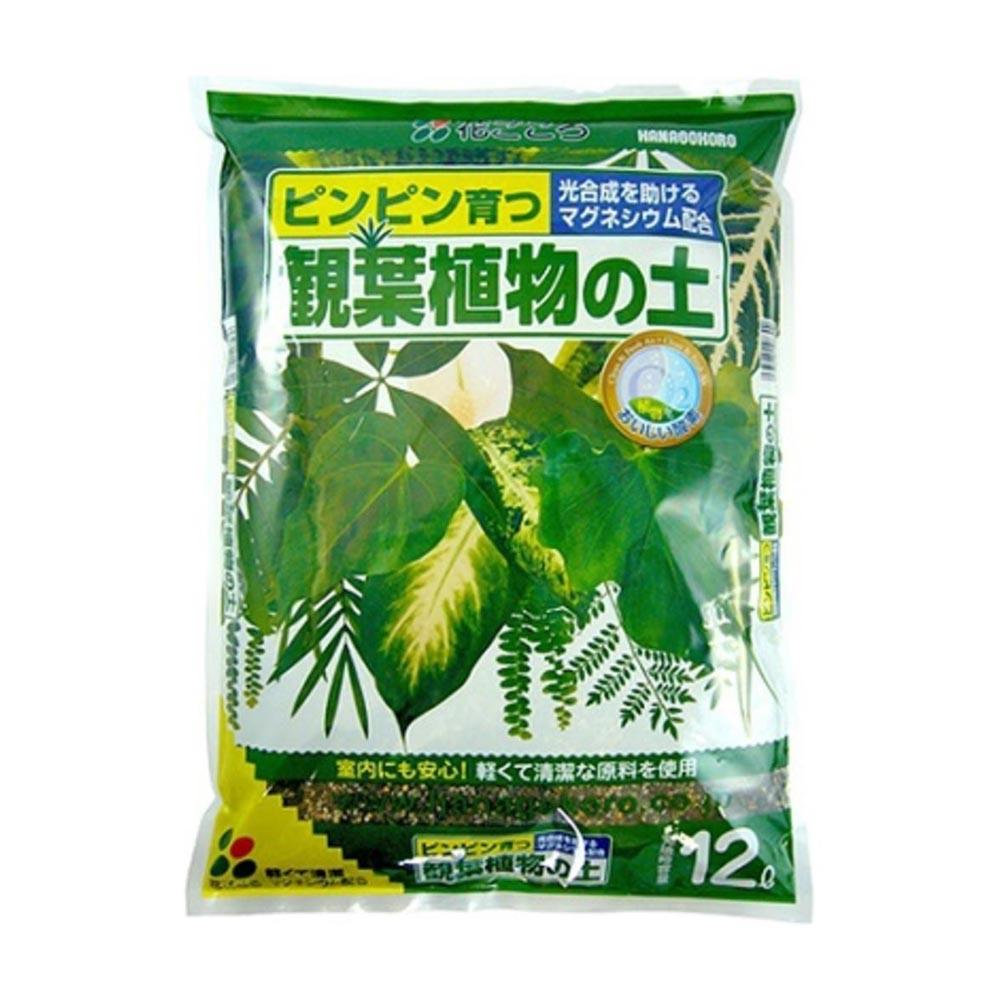 Hanagokoro Houseplant Soil 12L