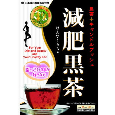 Yamamoto Kanpo Weight Loss Black Tea Tea Bags 15g x 20 Bags