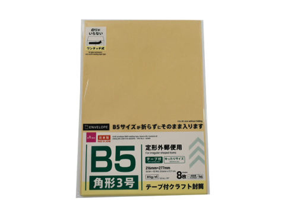 Craft Envelope (With Tape, Size 3, 8 Pieces)