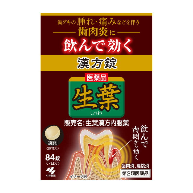 Seiyo Herbal Internal Medicine 84 Tablets