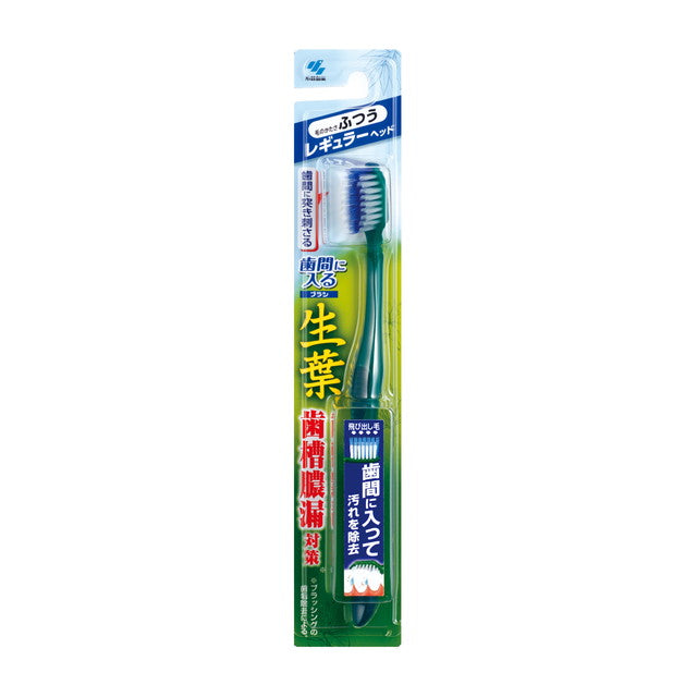 Kobayashi Pharmaceutical Namihaba Interdental Brush Regular Normal 1 Piece