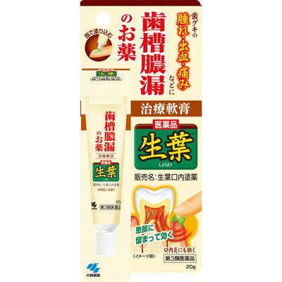 [Class 3 Medical Product] Kobayashi Pharmaceutical Namiyou Oral Gel 20g