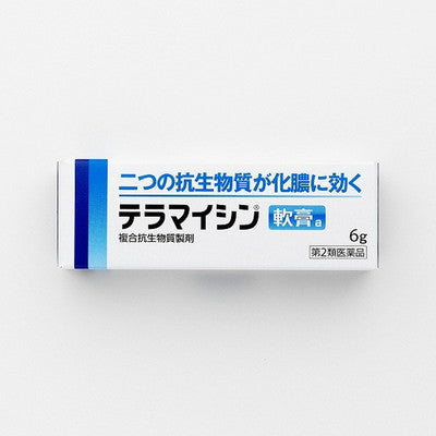 Teramycin Ointment A 6g