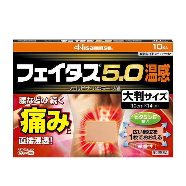 Hisamitsu Pharmaceutical Feitas 5.0 Warm Large Size 10 Sheets