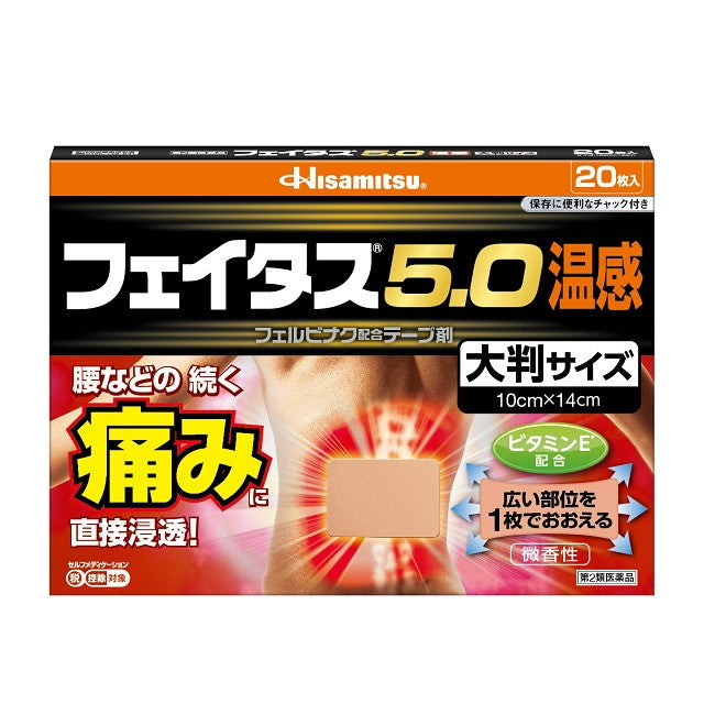 Hisamitsu Pharmaceutical Feitas 5.0 Warm Sensation Large Size 20 Sheets