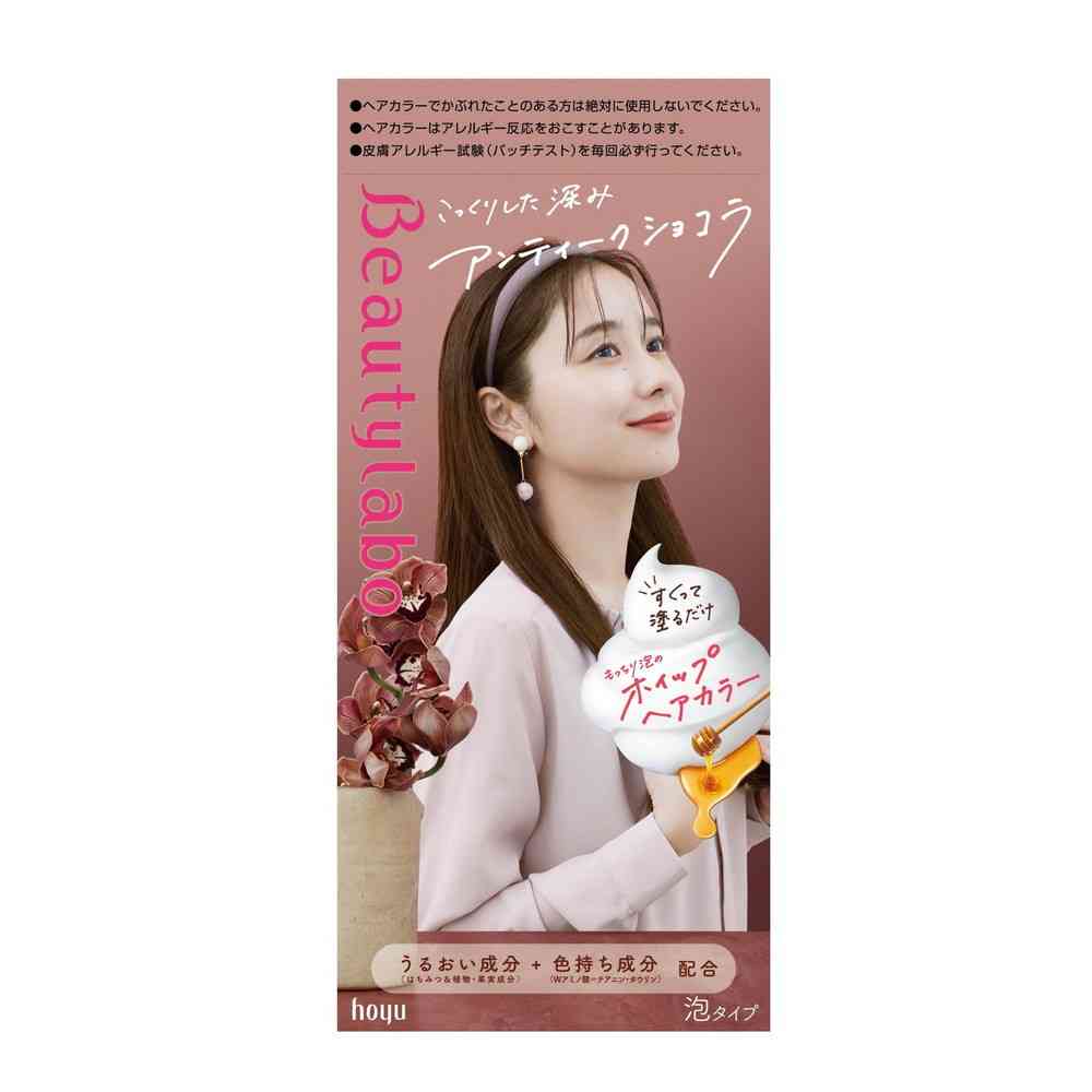 Hoyu Beauty Lab Whip Hair Color Antique Chocolate
