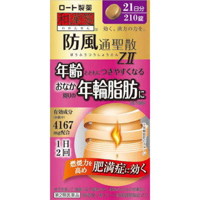 New Rohto Bofutotsusho Tablets Z II 210 Tablets