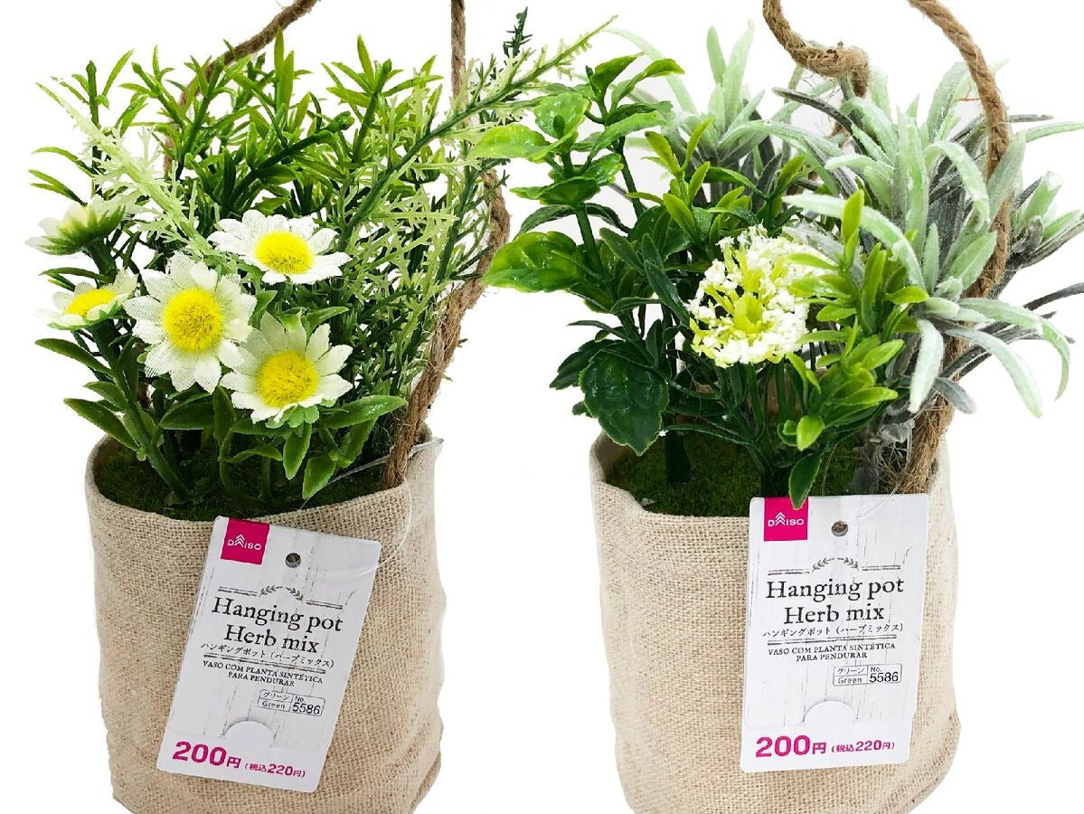 Hanging Pot (Herb Mix)