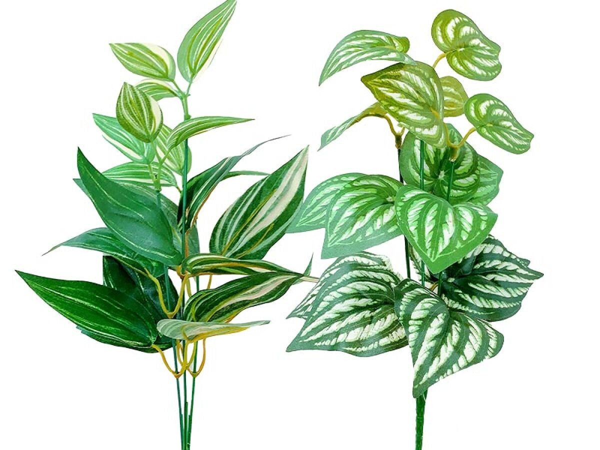 Green Bush (Natural)