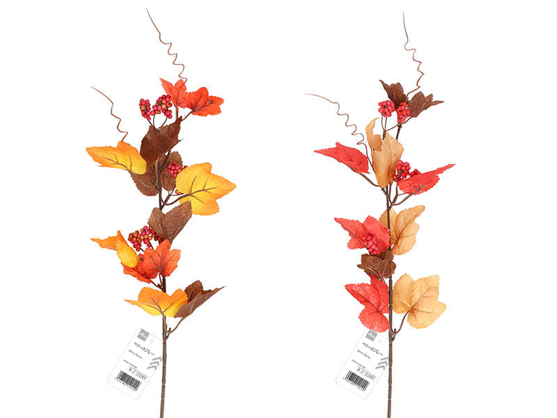 Autumn Berry