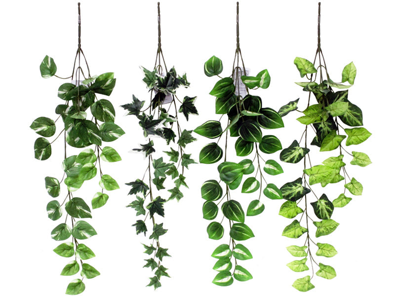 Green Vine