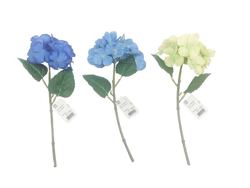 Short Hydrangea