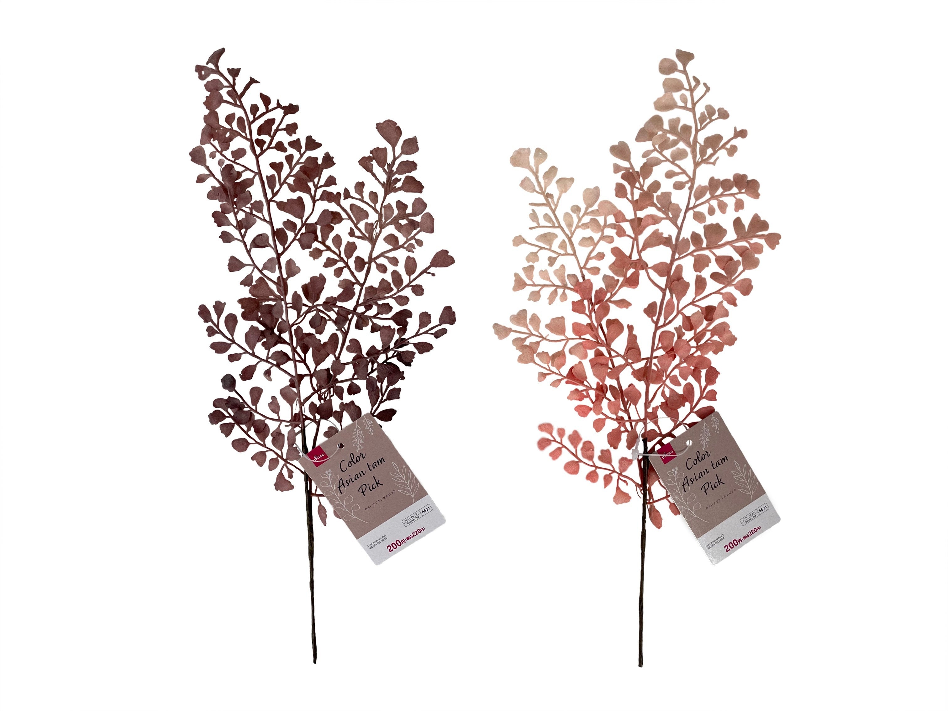 Color Asian Anthemi Pick
