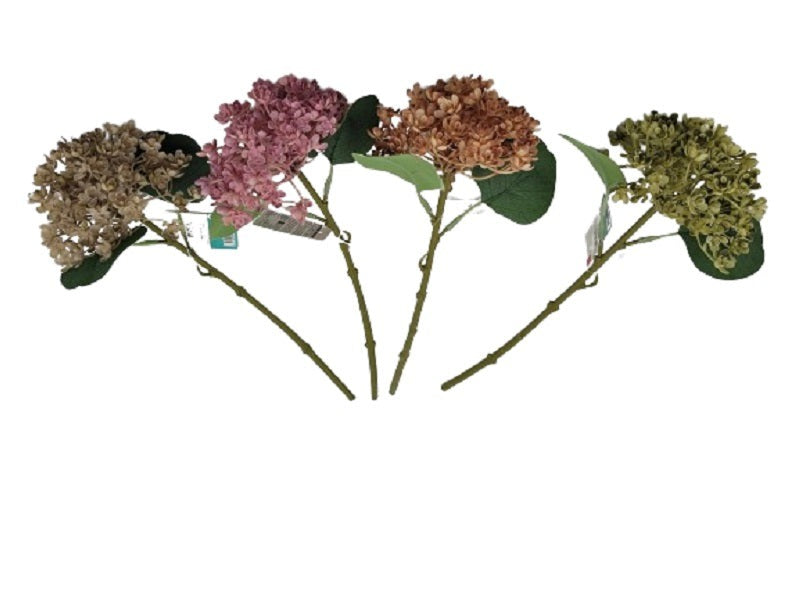 Wildflower A