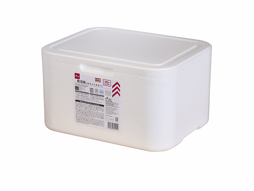 Foam Box (White Color)