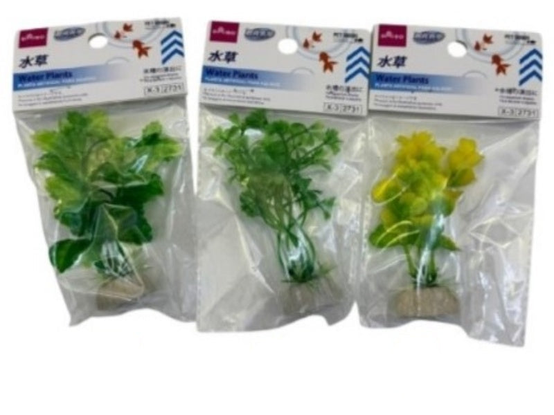Aquatic Plant (A)