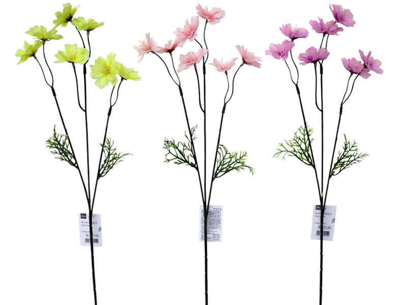 Kibana Cosmos
