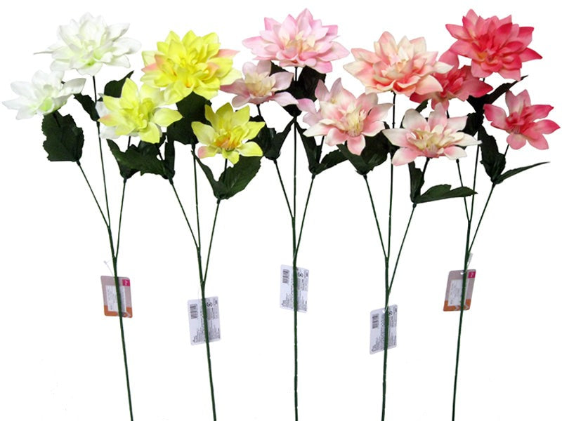 Dahlia (3 Flowers)